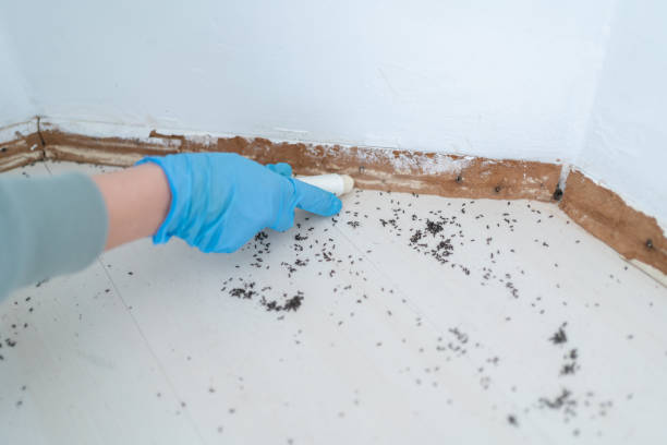 Best Pest Exclusion Services  in Independence, LA